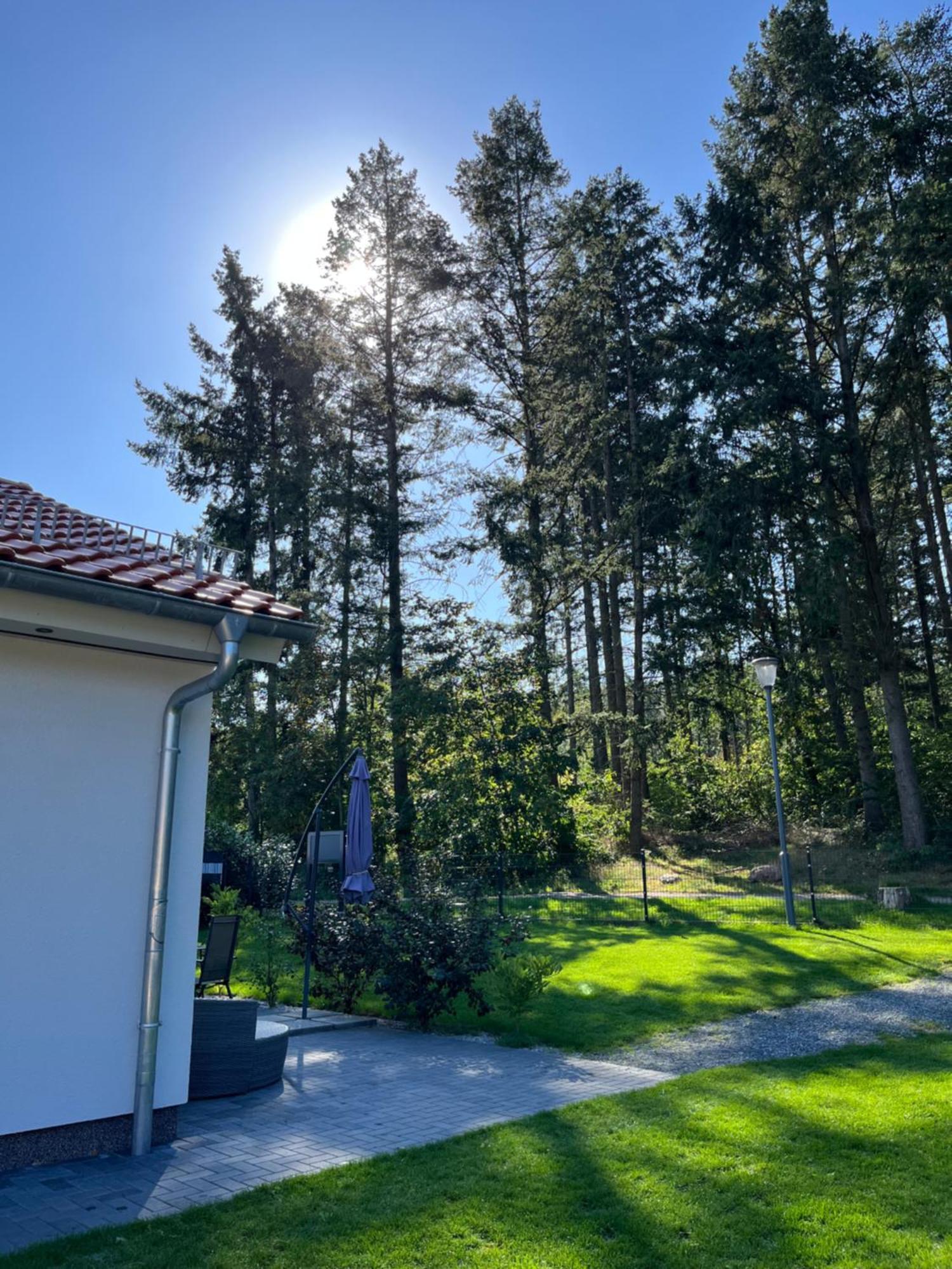Ferienhaus Hinz Darlingerode Exterior foto